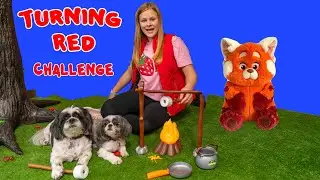 Assistant Competes in the Turning Red Educational Challenge
