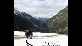 Straight P - Was sie wollen (Album - D.O.G. - Deep ohne Grund - OUT NOW!!!)