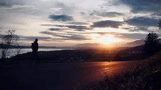 Mauborget - Concise