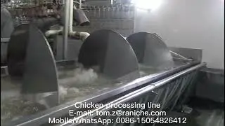 Automatic 1000BPH Chicken processing line