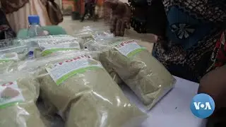 Senegal Tackles Food Security, Promotes Local Grain