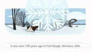 World record for the largest observed snowflake (Google doodle)