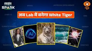अब Lab में जन्म लेगा White Tiger & Other News | Science Spark