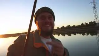 Berindean Mihnea is Terra