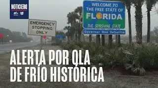 Florida bajo cero: Nieve en el norte e iguanas congeladas por ola de frío récord en el estado