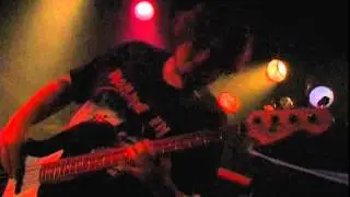 Dog Fashion Disco - Live
