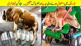 Top Animal Industry Factory Production | Modern Farming Machines