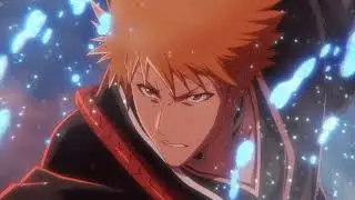 BLEACH ENDING 28