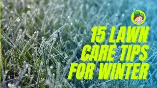 15 Tips To Look After Your Lawn In Winter No Matter How Good Or Bad It Is  (Van Talk Episode 3)