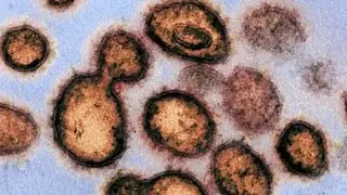 South Africa variant found in U.S. as fear grows over new strains