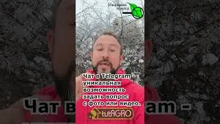 ЛЮБОЕ ДЕРЕВО ПОКРОЕТСЯ ПЛОДАМИ, ЕСЛИ УДАЛИТЬ ЭТИ ВЕТКИ! Вырезаем этих паразитов с корнем!