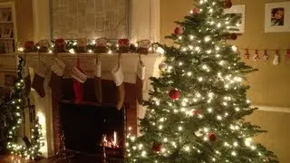 O Christmas Tree