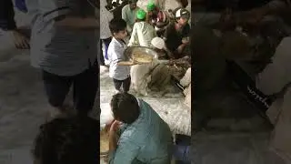 #lahore #Data darbar #langar taqseem #with my son Ibrahim #abdulmanan