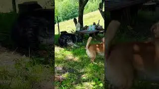 PLAY TIME in nature