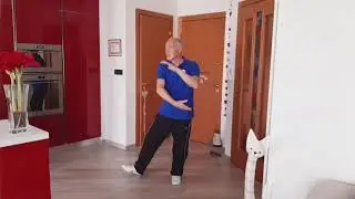Taiji Quan stile Yang Forma 8 DIVIDERE LA CRINIERA DEL CAVALLO SELVAGGIO