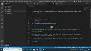 npm ERR! missing script: start node js solved