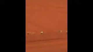 A visual demonstration of the Magnus effect.(@Magic.of.Science