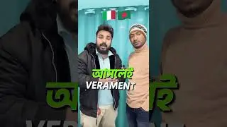 ইতালিয়ান ভাষায় দৈনন্দিন রিঅ্যাকশন বাক্য শিখুন | Wow, Really, What? &ndash; Italian Reactions Bangla