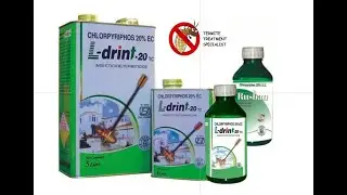Best Termite Chemical: Chlorpyrifos 20% EC Insecticide | Pest Control Business Chemical