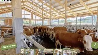 Video 3D Rundgang LFS Pyhra