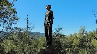 My Favorite Tree. (Aspen will Wander Ep.5.)