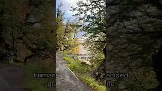 insane #hiking #relatable #travel