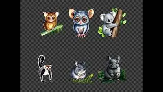 Exotic Animals Clipart Bundle Koala, Lemur, Panda (Digital Art)