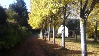 An Autumn walk around my garden and collecting leaves for my back to Eden garden