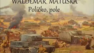 Waldemar Matu&scaron;ka- Pol&iacute;čko, pole