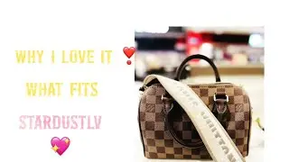 Why I ❤️ it ! Louis Vuitton Speedy 20 Damier Ebene