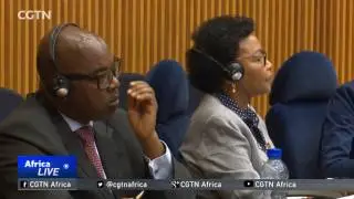 AU Peace and Security Council optimistic about ending insurgency