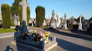 Michael Collins Grave