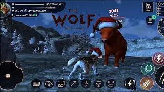 the wolf - I miss Santa hats already🎅❗#thewolf