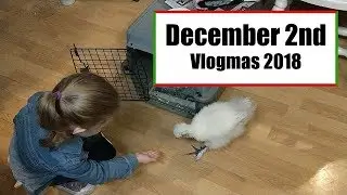 Vlogmas 2018 - December 2nd - Andy Pepper's and a House Chicken