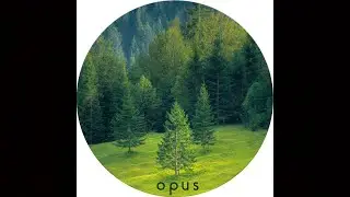 Gavi&ntilde;o - Play Me [OPUS007]