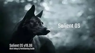 Salient OS - Disk Partitioning Setup Guide