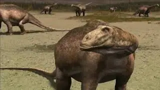 75-Million-Year Old Eggshells Suggest Most Dinosaurs Were Warm-Blooded