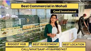 𝐂𝐏 𝟔𝟕 - Best 𝐂𝐨𝐦𝐦𝐞𝐫𝐜𝐢𝐚𝐥 Property in 𝐂𝐡𝐚𝐧𝐝𝐢𝐠𝐚𝐫𝐡 𝐌𝐨𝐡𝐚𝐥𝐢 - Home Land Unity | 𝐂𝐚𝐥𝐥 +𝟗𝟏𝟖𝟔𝟗𝟗𝟖𝟎𝟕𝟒𝟑𝟕