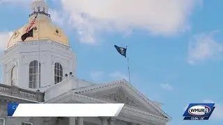 Commission on Government Efficiency released final report; suggests DHHS reform