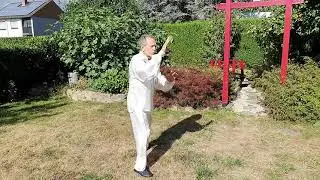Traditionelle Langform des Yang-Stils (Teil 3)