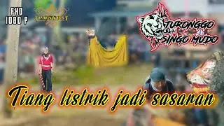 BARONGAN Viral Turonggo Singo Mudo || Live Dk wonodadi Dlisen Limpung #barongan #tsm