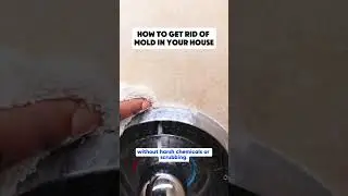 The BEST way to tackle mold on these surfaces!