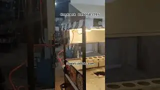 FOOD CART sent to GUJARAT | DESIGNER CART | 8130583795 | #Shorts