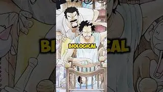 One crazy theory states that Dragon Isn't Garp's Biological Son!!&nbsp;#shorts #onepiece #monkeyddragon