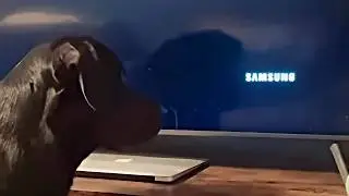 UNUSUAL MEMES COMPILATION V358