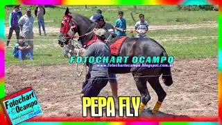 PEPA FLY - Quitilipi - Chaco 13/03/2022