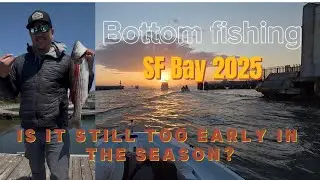 Drifting live anchovies for Halibut and striped bass in the SF Bay Area