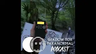 11: Kilminorth Woods - Ghosts of Wychwood Hollow