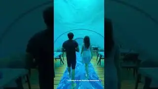praneetha with her hubby