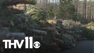 Christmas Tree fish habitats & latest on Big Buck Classic | Outdoor Report